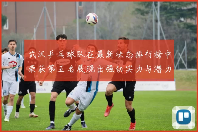 武汉乒乓球队在最新状态排行榜中荣获第五名展现出强劲实力与潜力