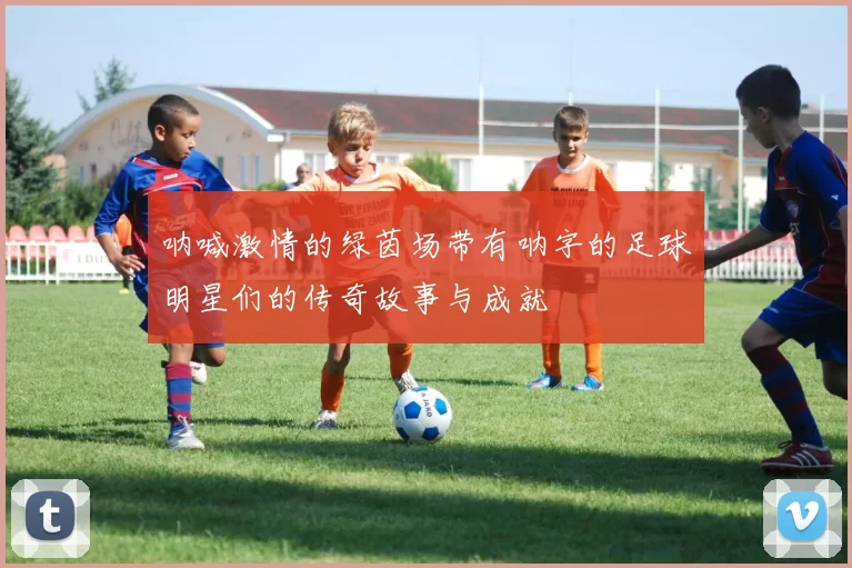 呐喊激情的绿茵场带有呐字的足球明星们的传奇故事与成就
