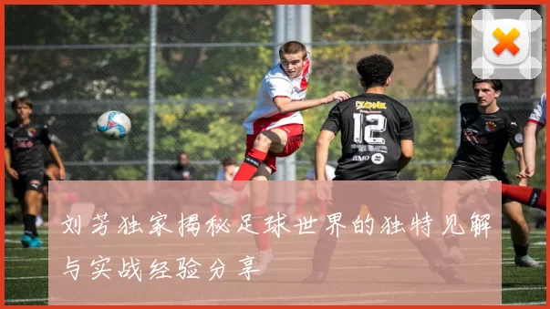 刘芳独家揭秘足球世界的独特见解与实战经验分享