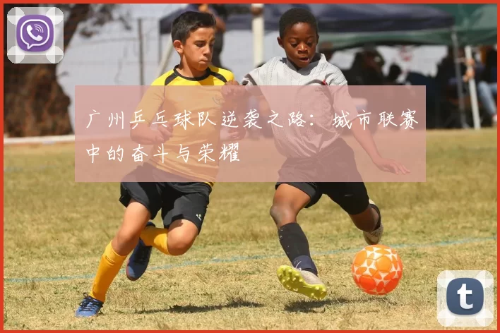 广州乒乓球队逆袭之路：城市联赛中的奋斗与荣耀