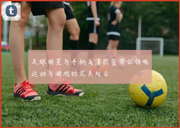 足球明星与手柄高清图鉴带你领略运动与游戏的完美结合