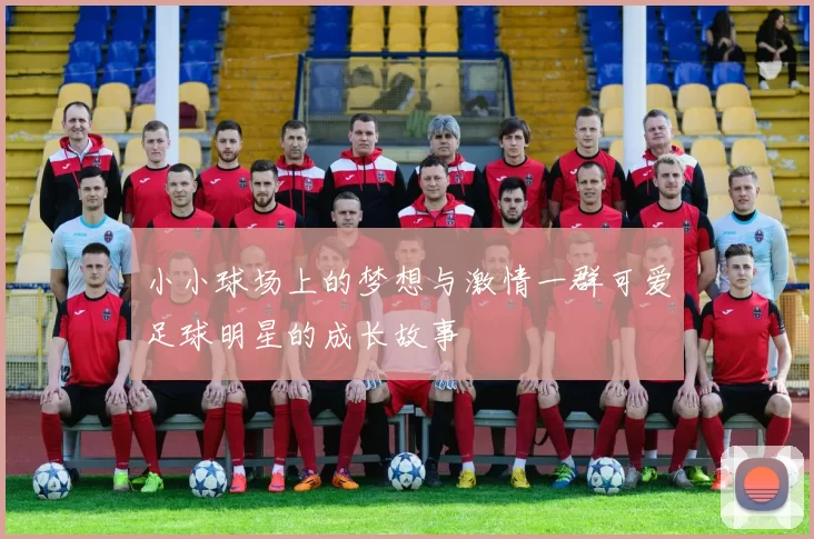 小小球场上的梦想与激情一群可爱足球明星的成长故事