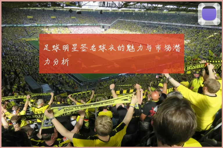 足球明星签名球衣的魅力与市场潜力分析