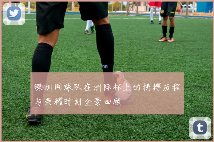 深圳网球队在洲际杯上的拼搏历程与荣耀时刻全景回顾