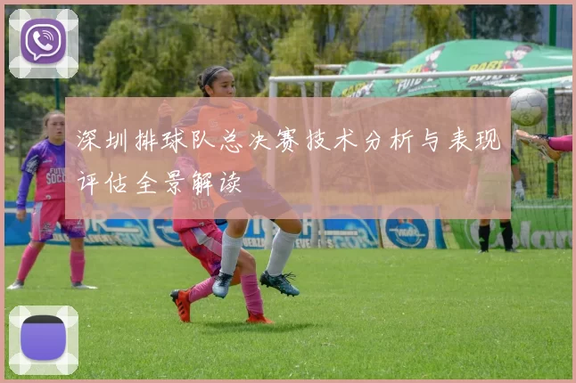 深圳排球队总决赛技术分析与表现评估全景解读