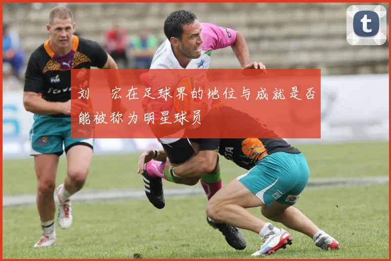 刘畊宏在足球界的地位与成就是否能被称为明星球员