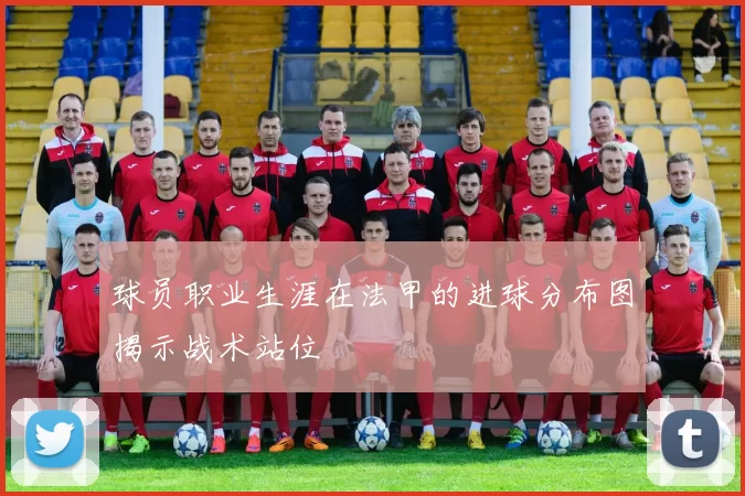 球员职业生涯在法甲的进球分布图揭示战术站位