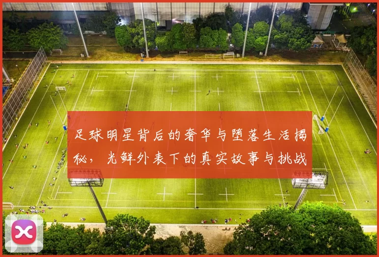 足球明星背后的奢华与堕落生活揭秘，光鲜外表下的真实故事与挑战